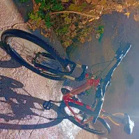 دوچرخه|دوچرخه، اسکیت، اسکوتر|نیمبلوک, |دیوار