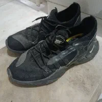 کفش|کیف، کفش، کمربند|کازرون, |دیوار