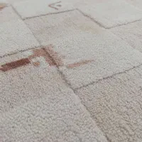 موکت|موکت|مشهد, تربیت (صدف)|دیوار