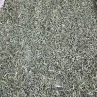 نعنا خشک