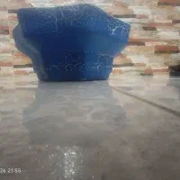 تنگ ماهی|ماهی|شیروان (خراسان), |دیوار