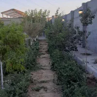 ۱۰۰۰ متر در منطقه خوش آب و هوای کلاکوب قابل تهاتر