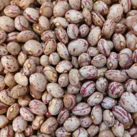 لوبیا چیتی و رشته آش و پلو
