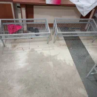 قفسه میوه|فروشگاه و مغازه|آبدانان, |دیوار