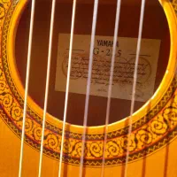 گیتار یاماها g225
