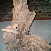 چوب آبنوس بزرگ و درجه یک مناسب دیسکس|ماهی|تهران, آذری|دیوار