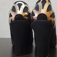 کفش مجلسی|کیف، کفش، کمربند|ملایر, |دیوار