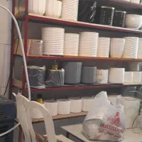 فروش یکجا انواع گلدان سفالی وسرامیکی قیمت مناسب|گل و گیاه طبیعی|فردیس, فردیس|دیوار
