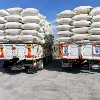 کاه درجه یک نرم ودرشت ارسال از کردستان|عمدهفروشی|آمل, |دیوار