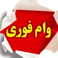 وام فوری با ثبت نام در بلو بانک
