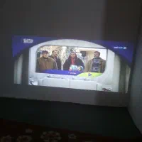 یک عدد پلژگتورو یک عددبخاری