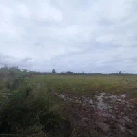 شالیزار سنتی۲۸هکتار سند منگوله دار قیمت متری ۳۵۰|فروش زمین و ملک کلنگی|لاهیجان, شیشه گران|دیوار