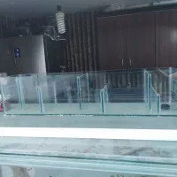 آکواریوم پلنت|ماهی|مشهد, امیریه|دیوار