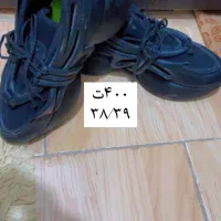 کفش درحدنو|کیف، کفش، کمربند|علی‌آباد کتول, |دیوار