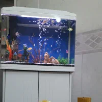 آکواریوم با تمام لوازم ۶ میل