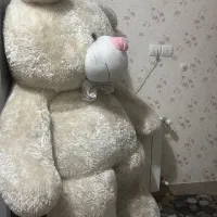 خرس|اسباب‌بازی بچه|تهران, فلاح|دیوار