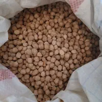 نخود درجه یک