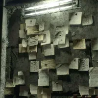 استخدام کارآموز در شرکت مشاوره کسب وکار