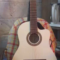 گیتار هافنر
