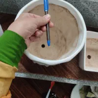 گلدان|گل و گیاه طبیعی|مشهد, سمزقند|دیوار