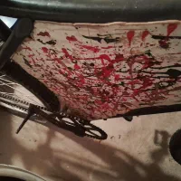 دوچرخه ساده بدون دنده ۲۶|دوچرخه، اسکیت، اسکوتر|مشکین‌دشت, |دیوار