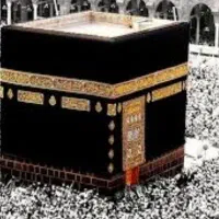 2عددفیش حج تمتع بهمن 86 هزینه انتقال رایگان