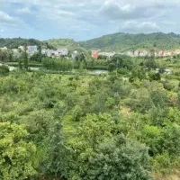 فروش-زمین-215-متری-زیر-قیمت-شیخ-زاهد-بهاران