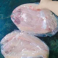 ماهی قزل آلا تازه مال امروز پاک کرده خوش طعم ۳۶۰