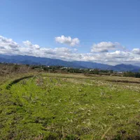 مزرعه ده تاسی هزار متر،مناسب کاشت کیوی|فروش زمین و ملک کلنگی|تالش, طولارود|دیوار