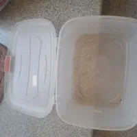 باکس حلزون یا قارچ|لوازم جانبی حیوانات|اصفهان, بوستان ناژوان|دیوار