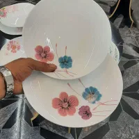 دنیای آرکوپال|ظروف سرو و پذیرایی|سنندج, |دیوار