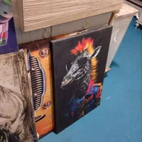 تابلو بوم|تابلو، نقاشی، عکس|فسا, |دیوار