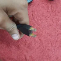 هدلایت|لامپ و چراغ|بندرعباس, |دیوار