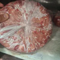 بچه فیله      اسکلت قلم کمر قفسه.      پا مرغ