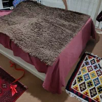 فرش پنبه ای|فرش|اردبیل, |دیوار