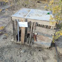 قفس لاری|لوازم جانبی حیوانات|گمیشان, |دیوار