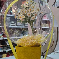 هدیه بوبوبالن