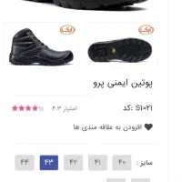 کفش ایمنی ارک