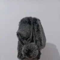 گارد ایفون6