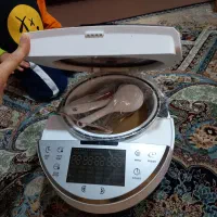 سرخ کن وپلو پز ۱۵ کاره