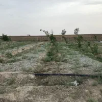 فروش زمین باغی در حسن اباد . وهن اباد