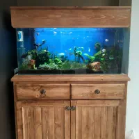 فروشنده مجرب