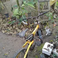 دوچرخه دست دوم|دوچرخه، اسکیت، اسکوتر|آستانه اشرفیه, |دیوار