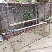 قفس پرنده|لوازم جانبی حیوانات|تالش, هشتپر|دیوار