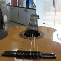 hohner hc06|گیتار، بیس، امپلیفایر|لاهیجان, شیشه گران|دیوار