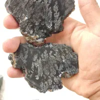 سنگ شجر کلکسیونی