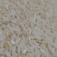 برنج چمپه درجه یک