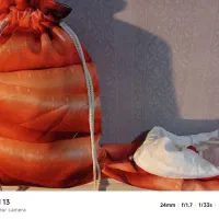 کیسه سبزی یک‌جفت