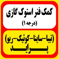 کمک فنر جلو پراید تیبا ساینا کوئیک ریو استوک گازی