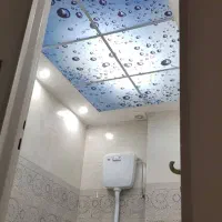 اجرای کناف، نقاشی، پخش کاغذدیواری مجموعه‌ی دکوتیس|مصالح و تجهیزات ساختمان|تهران, درختی|دیوار